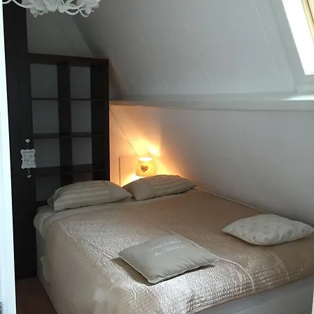 Zout IJmuiden